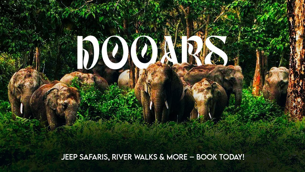 Dooars - Lava - Rishop