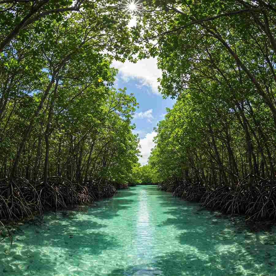 Andaman Nicobar Island