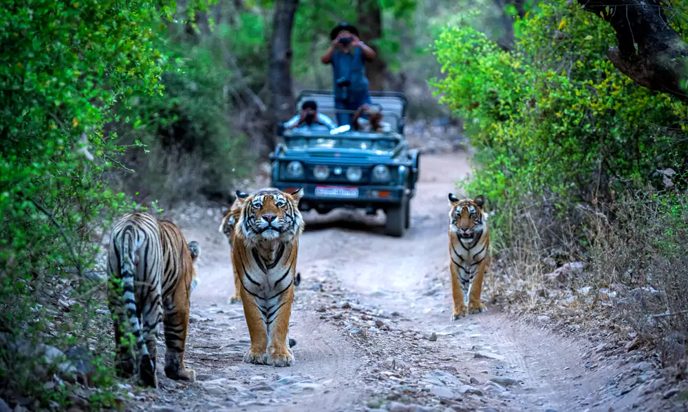 PENCH National Park