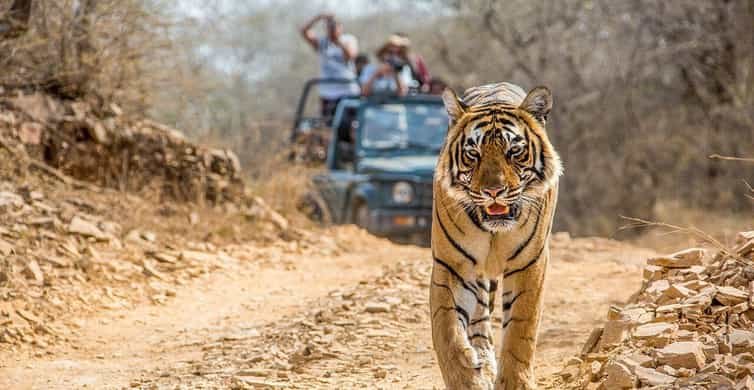 PENCH National Park