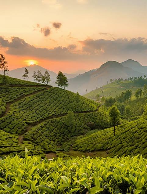 Kerala Delights