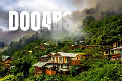 Dooars - Lava - Rishop